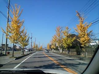 20081114104141.JPG
